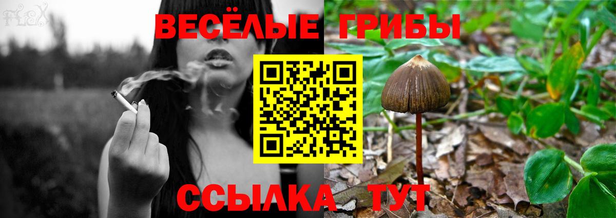 Псилоцибиновые грибы MAGIC MUSHROOMS  Галлюциногенные грибы Magic Shrooms  где купить   Вход с VPN  Знаменск 